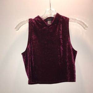 Velvet Crop Top